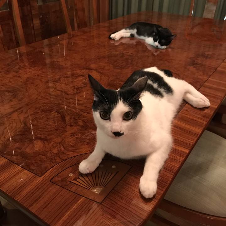 373e2840 dbfc 4c1a 8486 282a0ed4cfc9