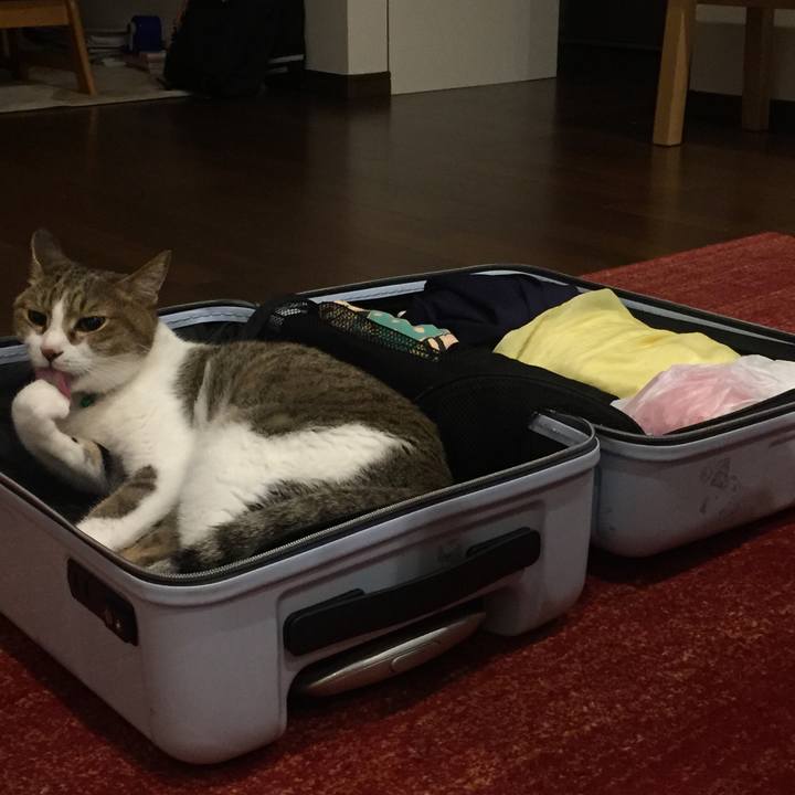 373e3575 6f40 4982 a621 aa11dd2ac8ea