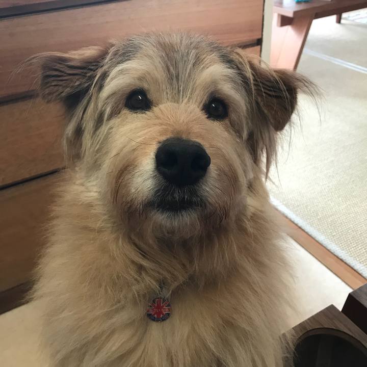 373f03b5 3546 43b6 9fbc c8f9675212d9