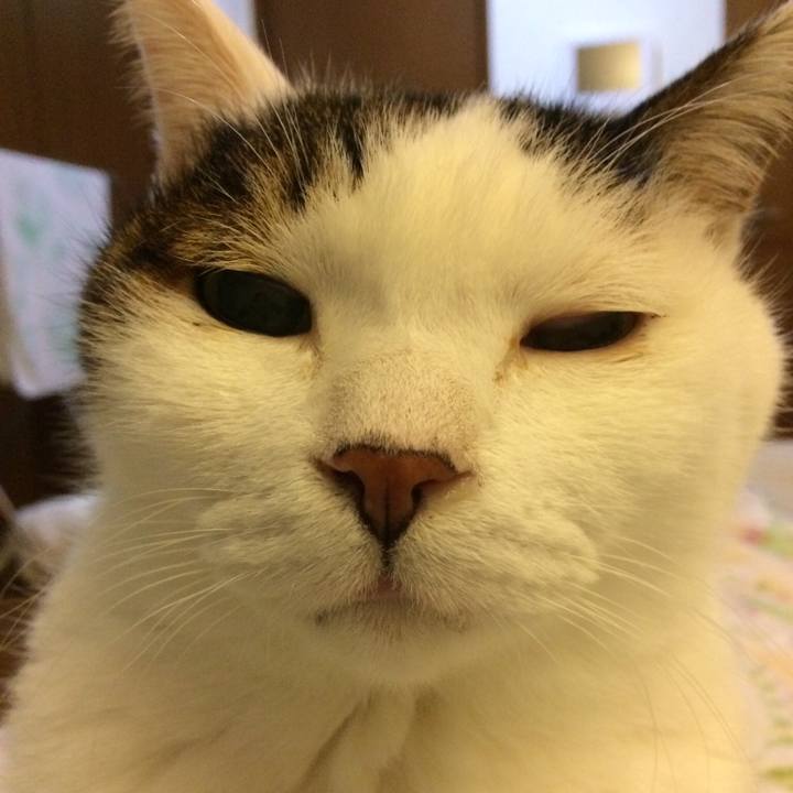 3740496f 6ed7 4f22 8e94 7603a4143a98