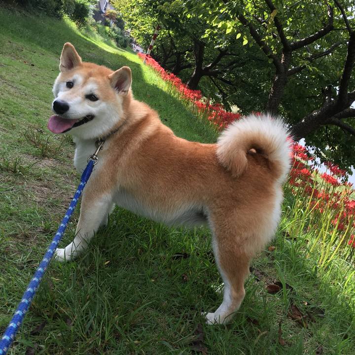 37409e3e 8cb7 484c 9a6f ed3068b44c1f