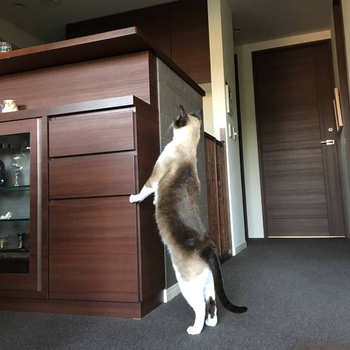 3740dbd8 6df4 4608 bc09 2587cca4ba84