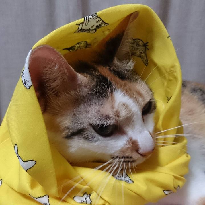 374119fb 996f 4ae8 abe6 b844bd0969d4