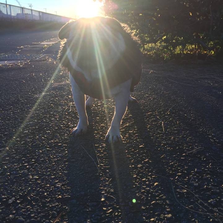 374149c0 4891 44f3 9f75 6db5ccf1d6ff