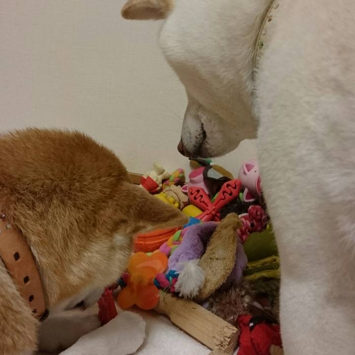 37415f0f bf02 4282 8f43 b078af408536