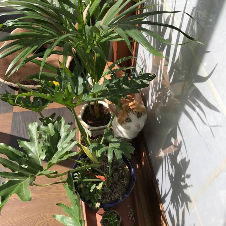 37417056 feff 4abf af65 aa8db970b772