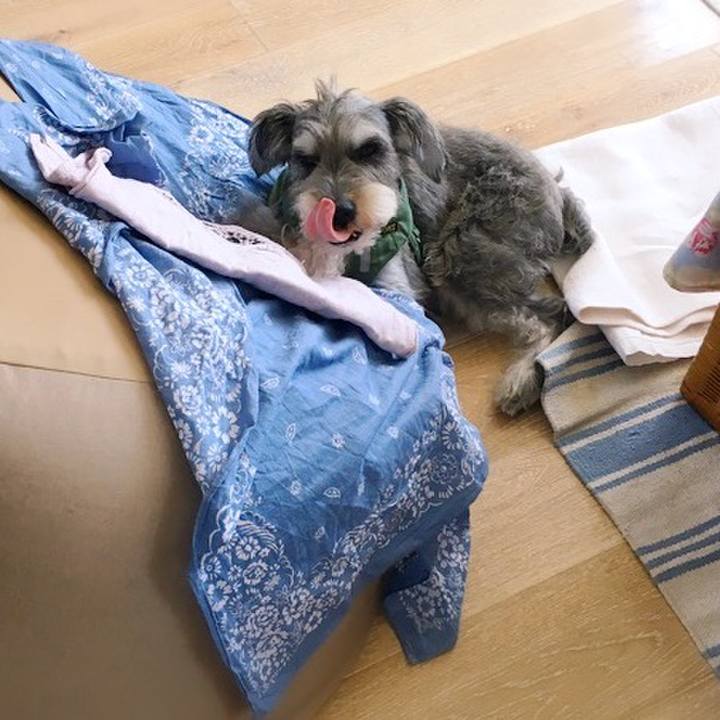 3741f894 7e6e 4a82 b042 21ef4db51ca8