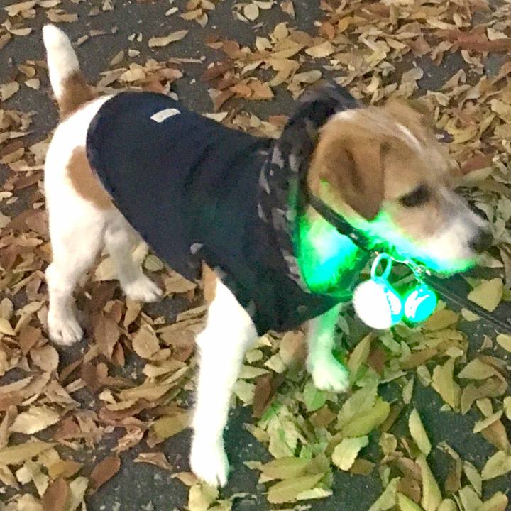 3742143a c2da 44e3 81b3 808964194842