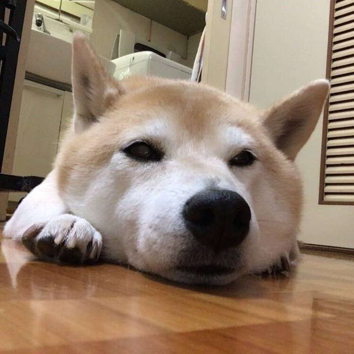 37422101 a647 42d2 8921 d24cda2ec8f5