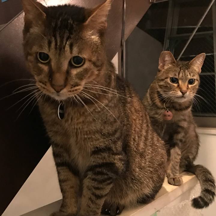 374260bf 647d 4526 a6c8 f8184cf2762d