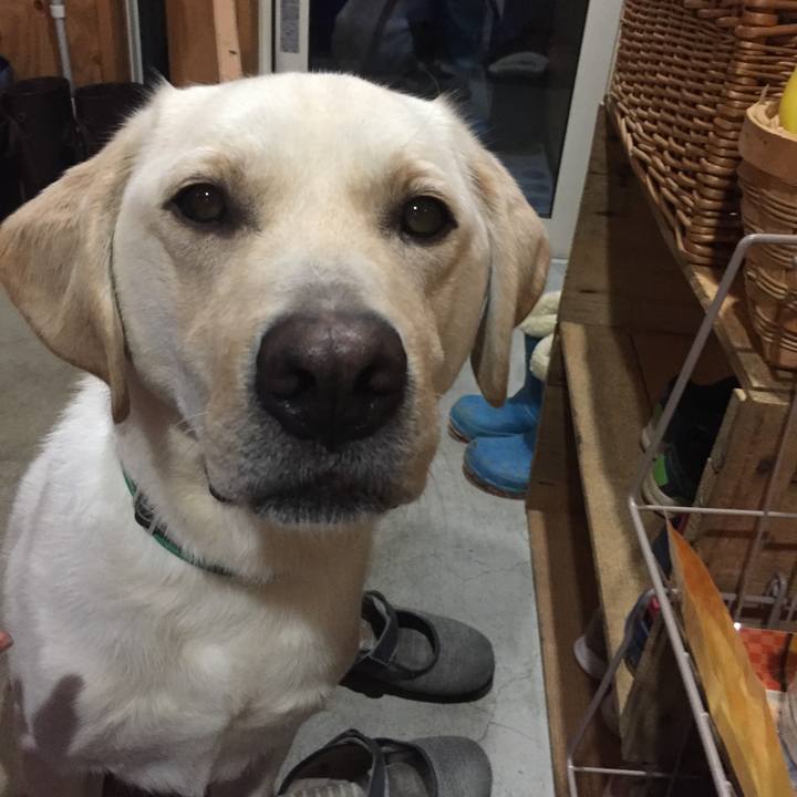 3743774a 9fb7 476f b5a8 aa41db2f71cf