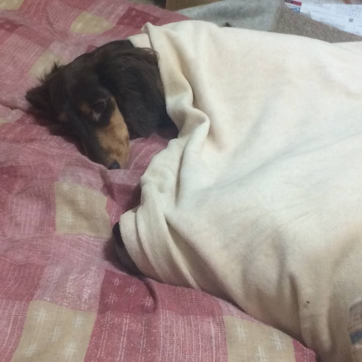 3743aa1c 8ed5 44af 85ce 5896c9af6516