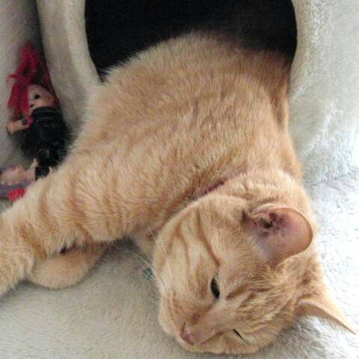 374451d4 64ba 45f2 8321 dbb13b4ba981