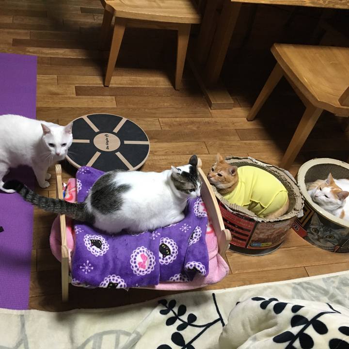 37445760 5b2b 447e abd2 39ce2f85c43c