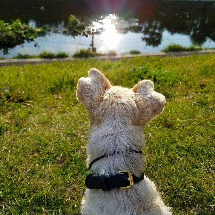 3744864a e034 487f af4b 5780b5b86adb