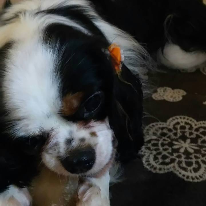 3745085e a40b 433d 9c7b 5d107f9e6e38