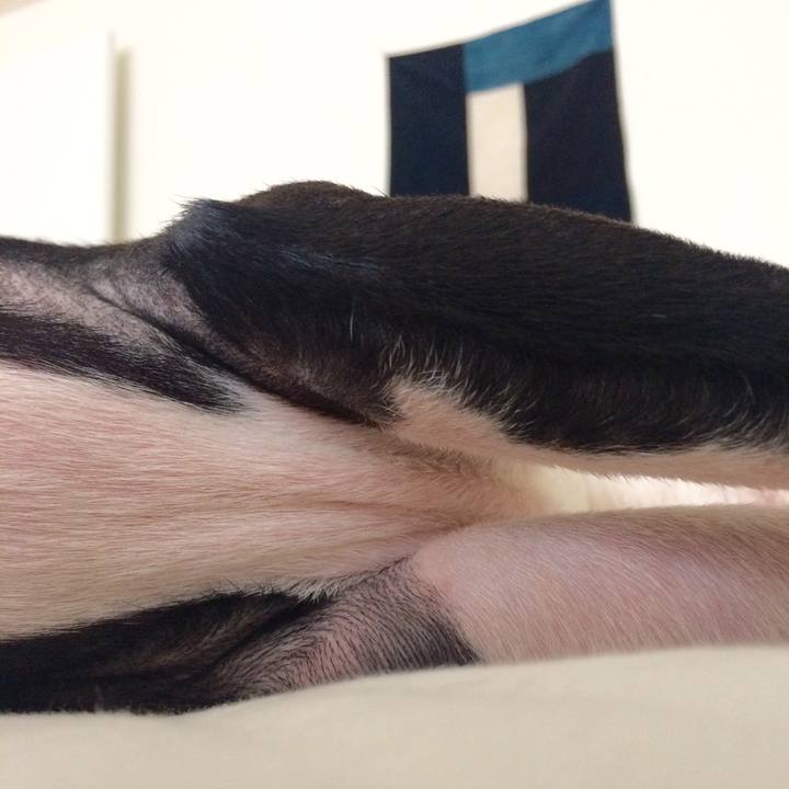 3745583d 6484 4ba2 8fd5 786c63223cc3