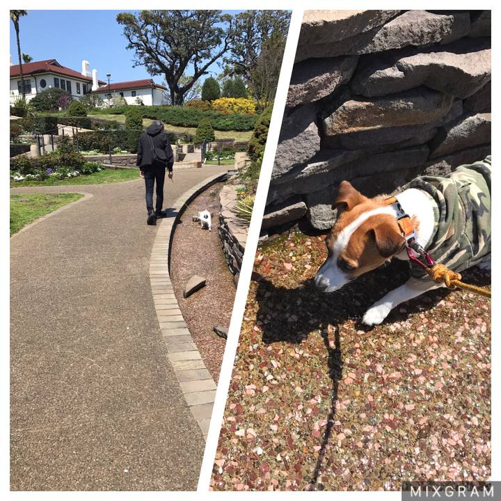 37457583 b7d2 4596 b5a2 d2a450a68f5d