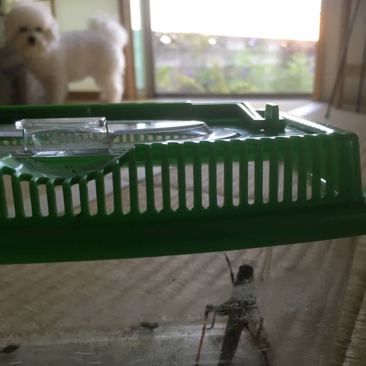 3745f05f c037 4932 9f44 1eac3349f1f3