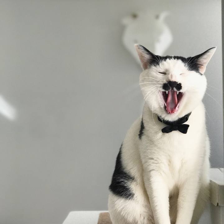 374657a0 4327 40cf 8fbd 605786853a99