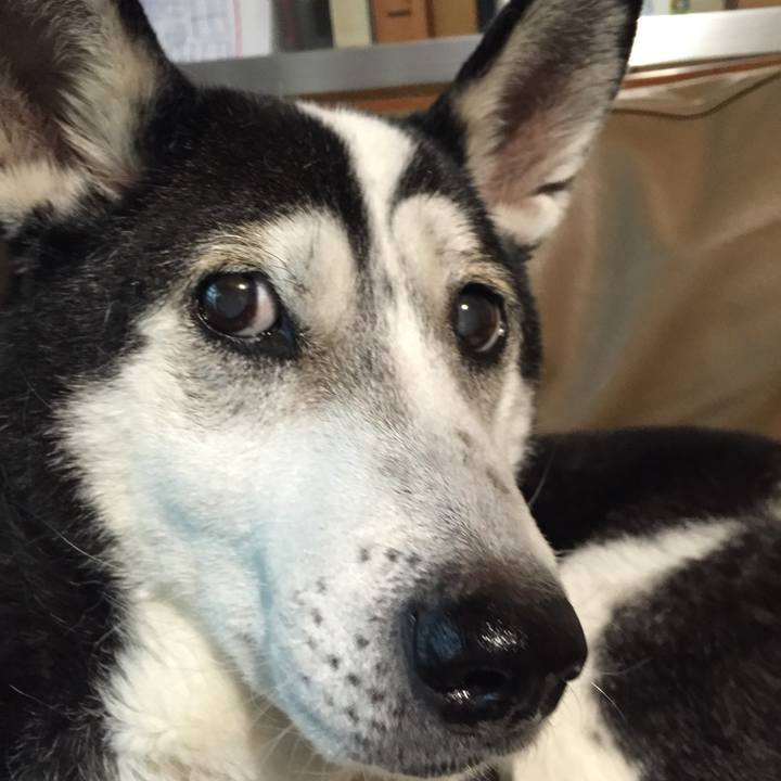 374675dd 0caf 42e2 8db9 f50714f158dc