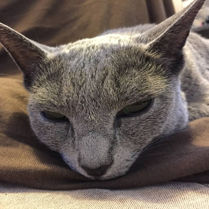 3746ab62 f6d9 4f78 b3a3 f78db1e2eb5b