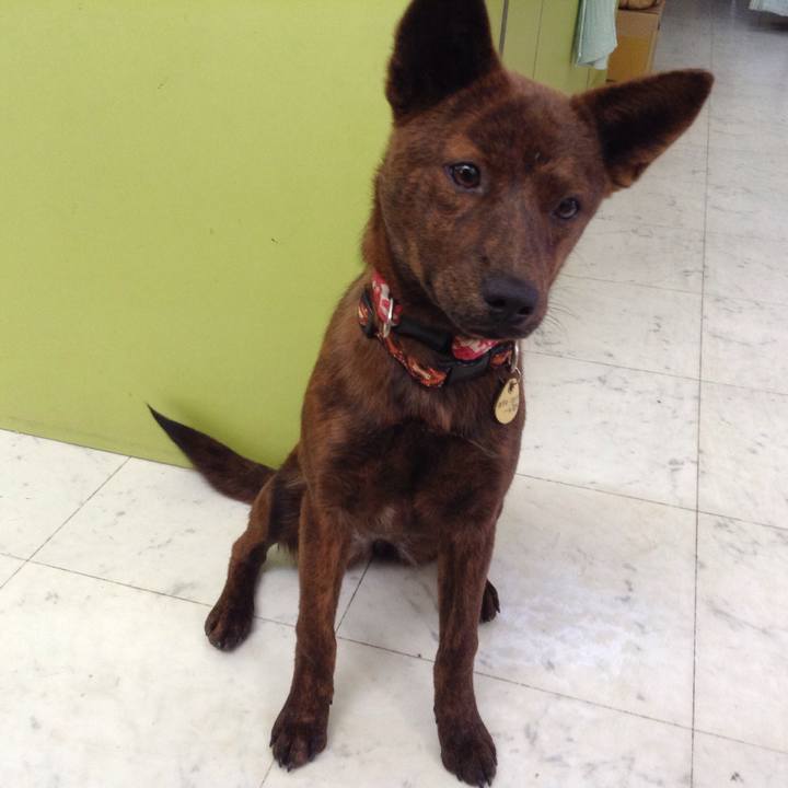 3746cc9e e6c3 4221 a56a 4ffa7221358e