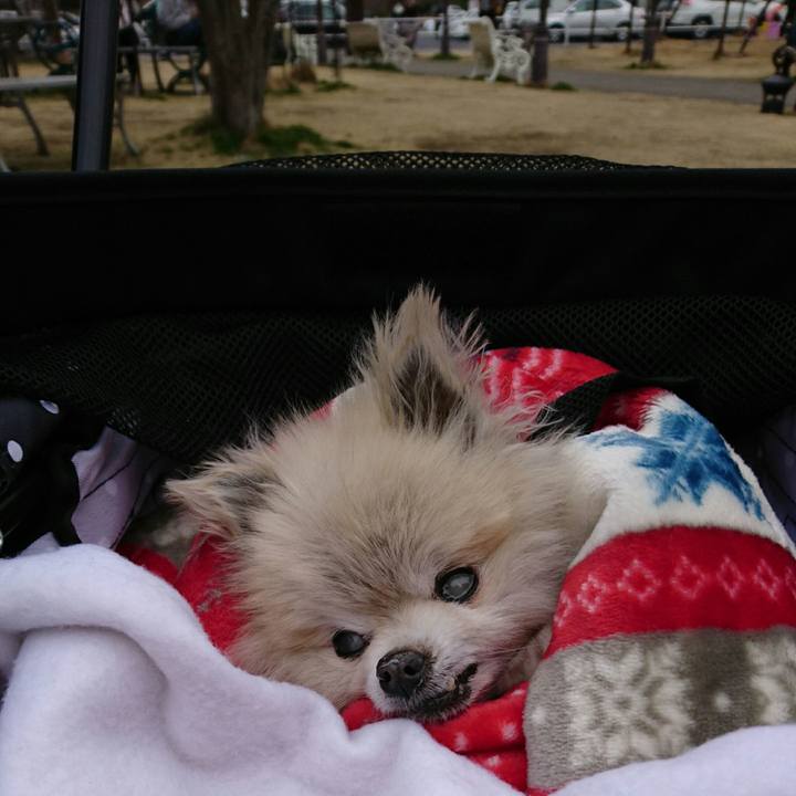 37481837 3ba3 41ba 9756 9fcb9650aaef