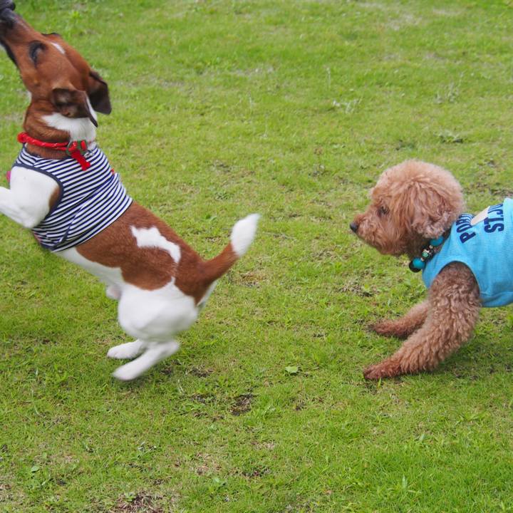 374837eb 2097 4910 ba22 ccc93128d19d