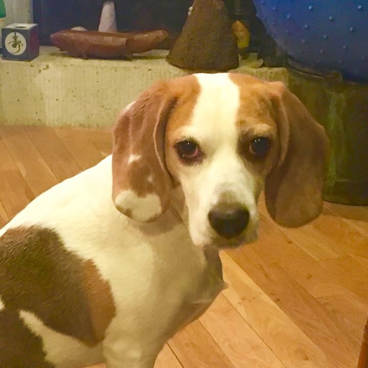 3748a28f a816 4b07 a20b b706b0d114ae