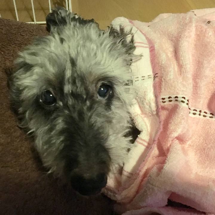 3748aa8f a216 443a ae48 5e6aa71843e2