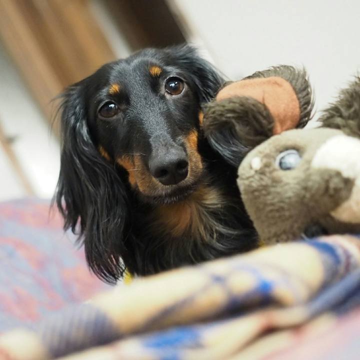 3748c5d1 2301 4635 b857 71c93e978b04