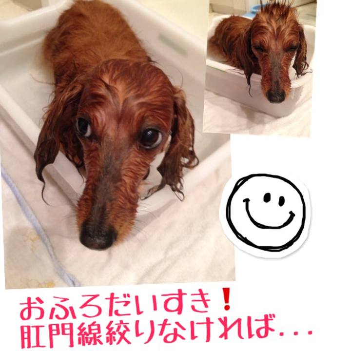 3749243d 106c 43d9 b490 af8ff2436d26