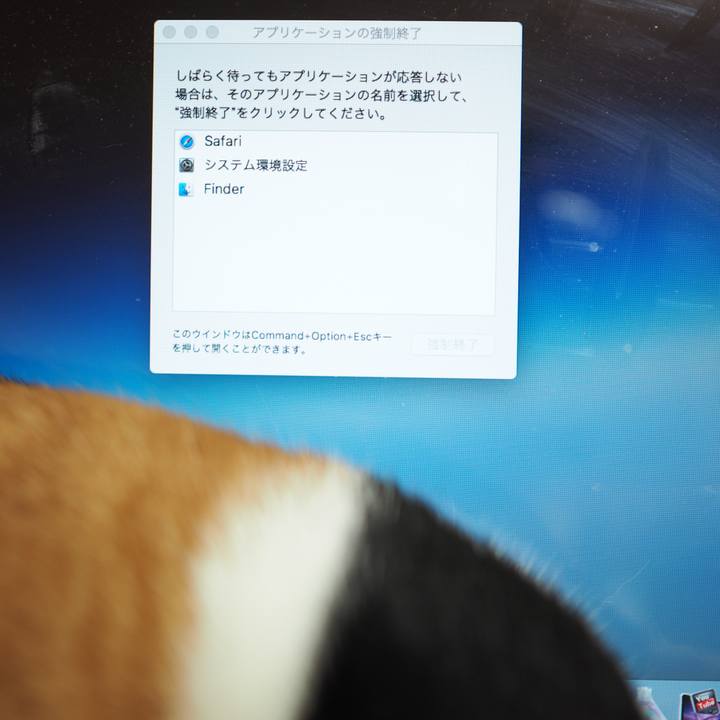 3749395f 6f64 4643 ba3d 3f609b7fa236