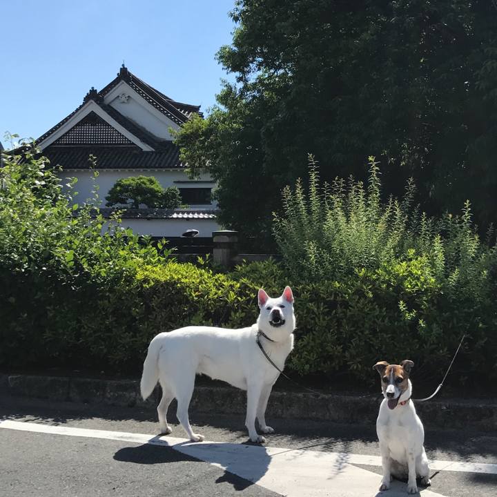 37495931 7866 4adf b933 f985103f078f