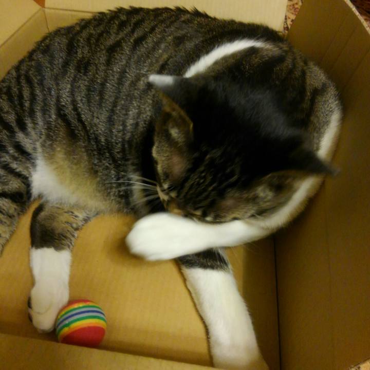 37499e4e e574 403b 8ebe 57cfc8c9e308