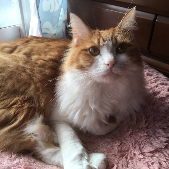 3749d8a1 0628 4e03 a16f 77ca51e41cc2