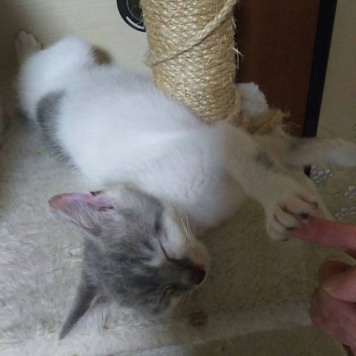 374a4d2a 970c 4d78 9161 aa81640496d3