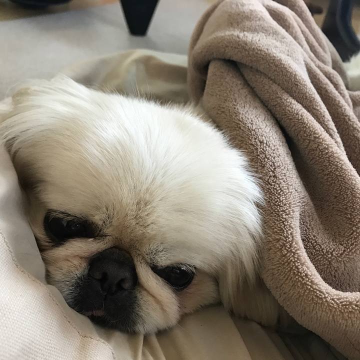 374aace6 99d6 4f85 9d45 8169a58bc793