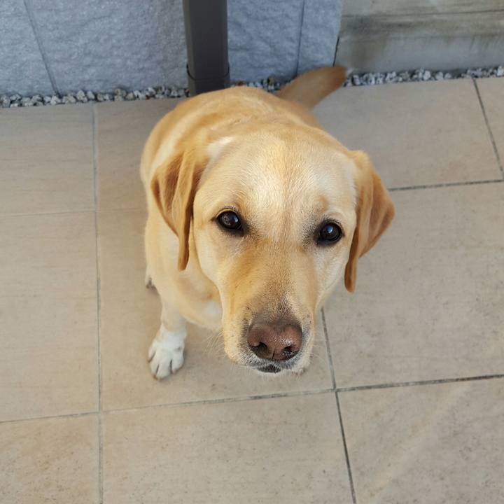 374ba194 9379 49fb 9378 0e8ab0ce451a