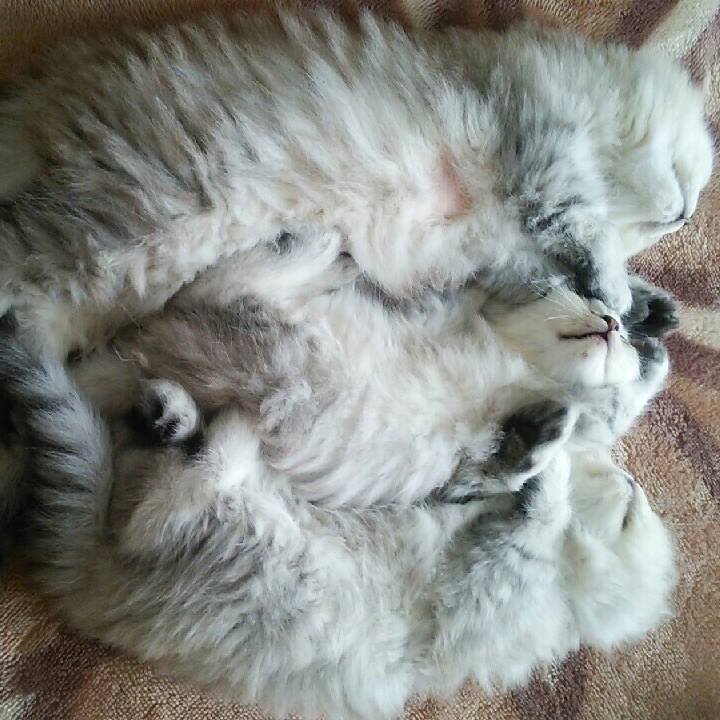 374c0470 51bb 4a16 aa7a 13fa3483c833