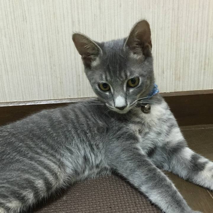 374e6efc 50a0 47c8 9a60 fbe82a1d7c71