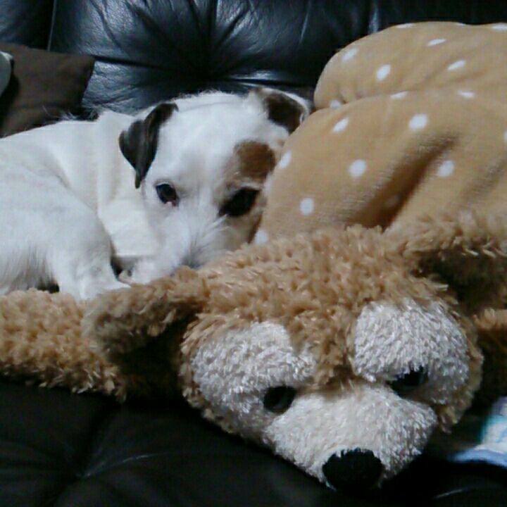 374ec40c a4e8 4899 9a79 e5f6635110c9