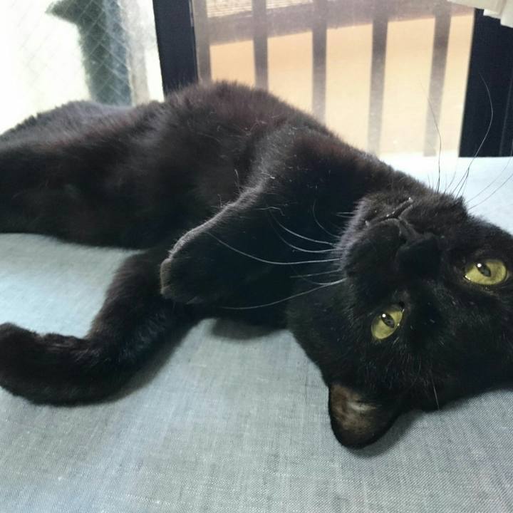 374ecaf8 8bc8 40b3 941d 97649a235a74