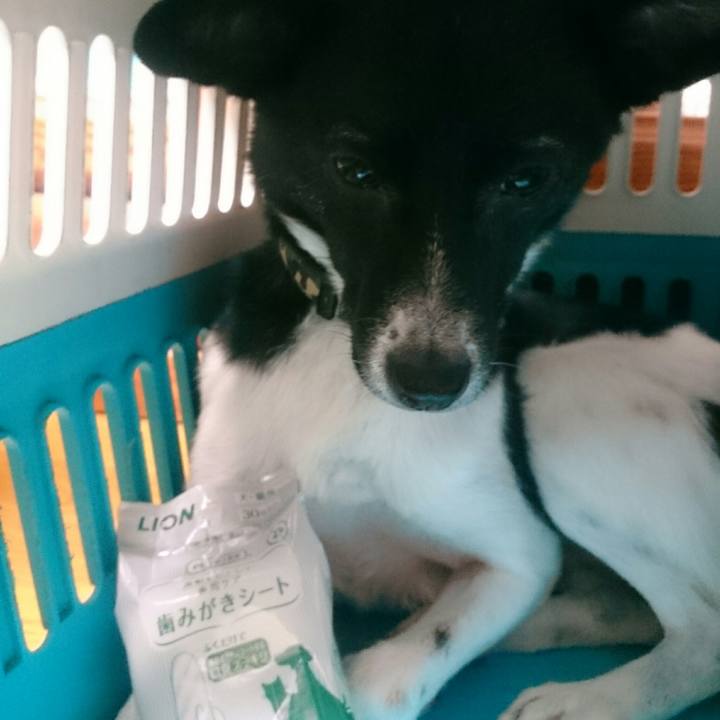 374eecb5 75a5 4751 8191 12a04ba59b16