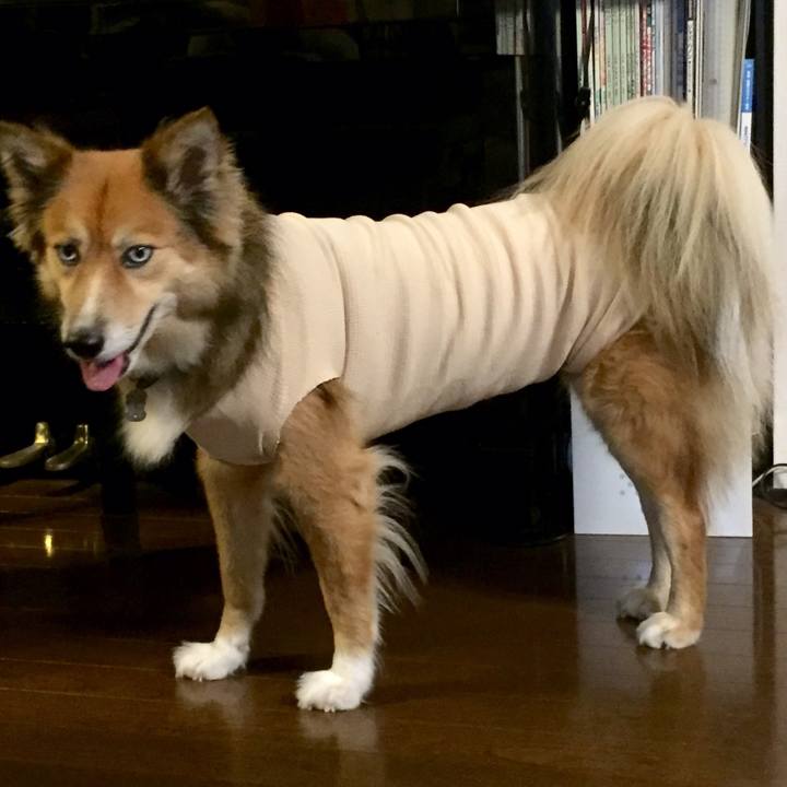 374f3f1f 42a2 474f bcfc f03a56b46cbf