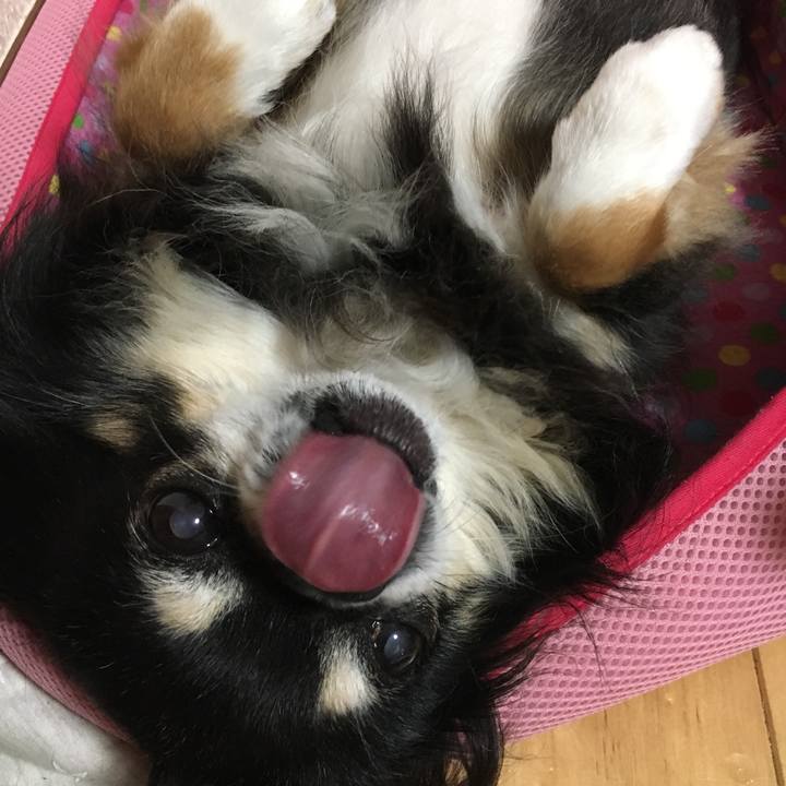 374f6211 37ed 4107 b876 dbd240fc3419