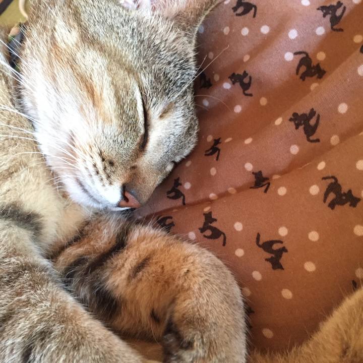 374f70ac 603a 4dff 9823 e1bc3590f4db