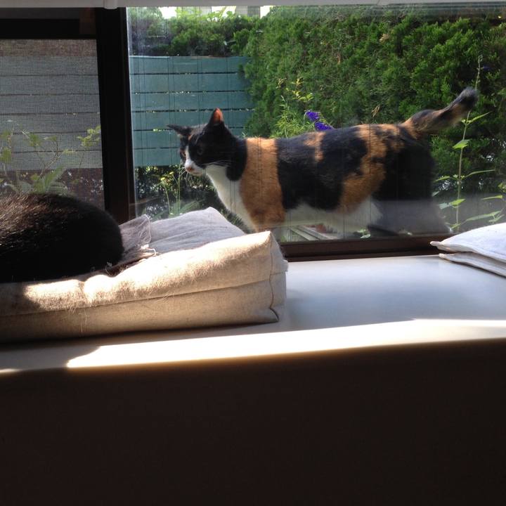 3751349b 23d2 4e70 bd51 579b78703521