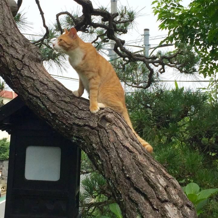 37515c3a b678 44ca ade0 abdbaa585aa9